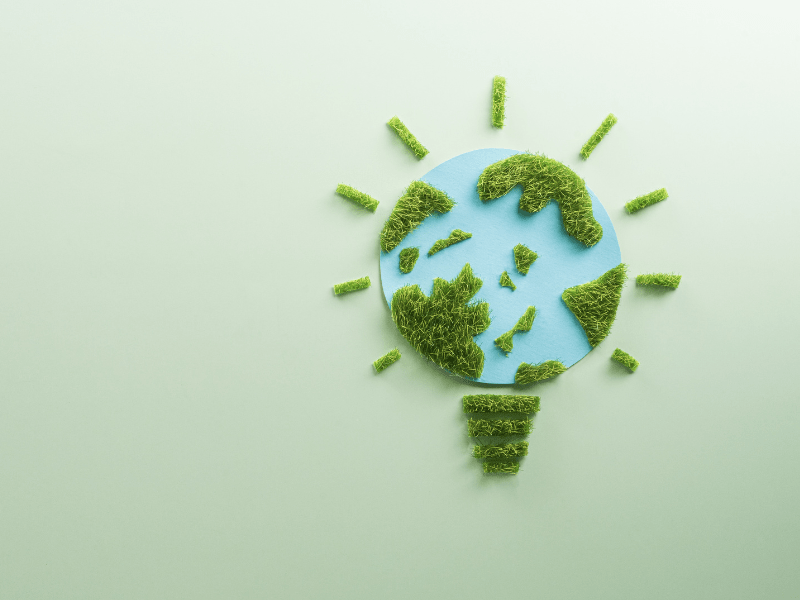 A lightbulb with greenery representing sustainability
